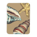 Suche nach muschel magnete Meer