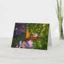 Suche nach monarchfalter postkarten Mit blumen