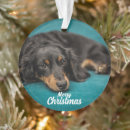 Suche nach weihnachtshunde ornamente Foto