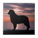 Suche nach bernese Silhouette