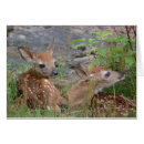 Suche nach bambi postkarten Tier