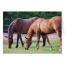 Suche nach quat Tiere