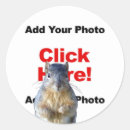 Suche nach lustiges eichhörnchen aufkleber Tierfreund