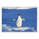 Suche nach pinguinkarten Schnee