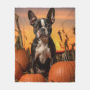 Suche nach boston terrier decken Urlaub
