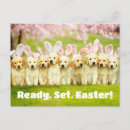 Suche nach lustige ostern poster Häschen