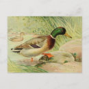 Suche nach duecker postkarten Aquarell