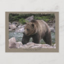 Suche nach grizzlybären postkarten Tragen