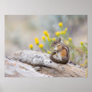 Suche nach bureau poster Bureau of land management