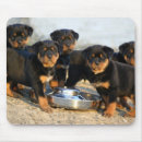 Suche nach rottweiler welpe mousepads Rottie