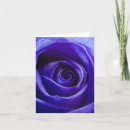 Suche nach attraktiv karten Rose