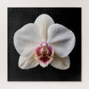 Suche nach orchideen puzzle Schwarz