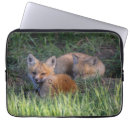 Suche nach animals hüllen Fox