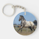 Suche nach appaloosa schlüsselanhänger Laufen