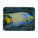 Suche nach individualität magnete Volle länge