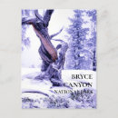 Suche nach winterurlaub postkarten Schnee