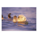 Suche nach seeotter kunst Wildtiere