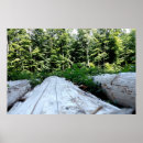 Suche nach wälder poster Bäume