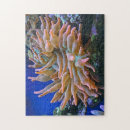 Suche nach aquarium puzzle Meere