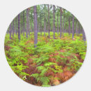 Suche nach wachsend aufkleber Grün