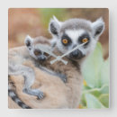 Suche nach baby wanduhren Wildlife