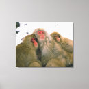 Suche nach tierfamilie leinwandbilder Tag