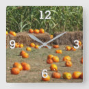 Suche nach maisen wanduhren Kürbis