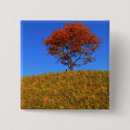 Suche nach ahorn buttons Baum