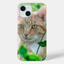 Suche nach katze mit grünen augen iphone hüllen Niedlich