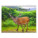 Suche nach schottland kalender Natur