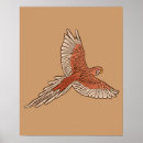 Suche nach amazon poster Parrot