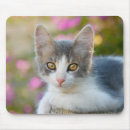 Suche nach lustiges katzen foto mousepads Katzenliebhaber