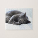 Suche nach russisches blau puzzle Haustier
