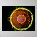 Suche nach zelle poster Wissenschaft