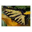 Suche nach tropische schmetterlinge postkarten Wild lebende tiere