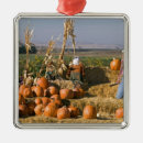 Suche nach vogelscheuche ornamente Herbst