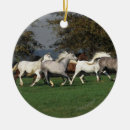 Suche nach arab ornamente Pferd