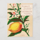 Suche nach obstbaum postkarten Retro