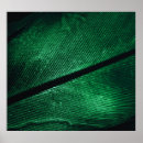 Suche nach texture poster Struktur