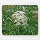 Suche nach schrein mousepads Blume