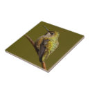 Suche nach hummingbird fliesen Ast