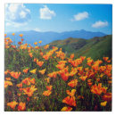 Suche nach frank untersetzer Blüte