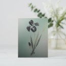 Suche nach ukiyoe andere postkarten Blumenreich
