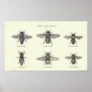 Suche nach imker poster Rett der bienen