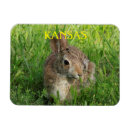 Suche nach grünes gras magnete Kaninchen