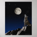 Suche nach himmel poster Abend