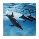 Suche nach delfin fliesen Tier