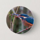 Suche nach vogel abzeichen buttons Eisvogel