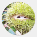 Suche nach kastanien aufkleber Herbst