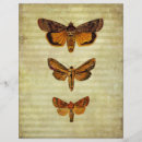 Suche nach viktorianisch bastel zubehör Collage